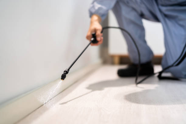 Bed Bug Pre-Treatment Preparation Assessment in New Johnsonville