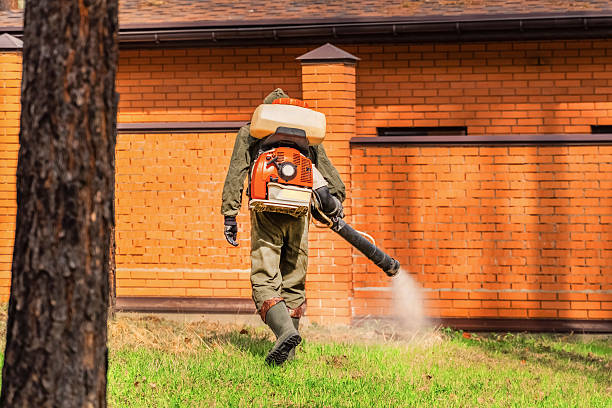Bed Bug Clearance Verification and Documentation in New Johnsonville